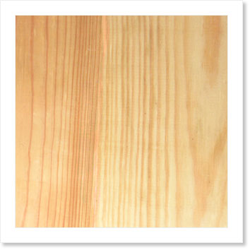 Половая доска (сосна) Половая доска (сосна)